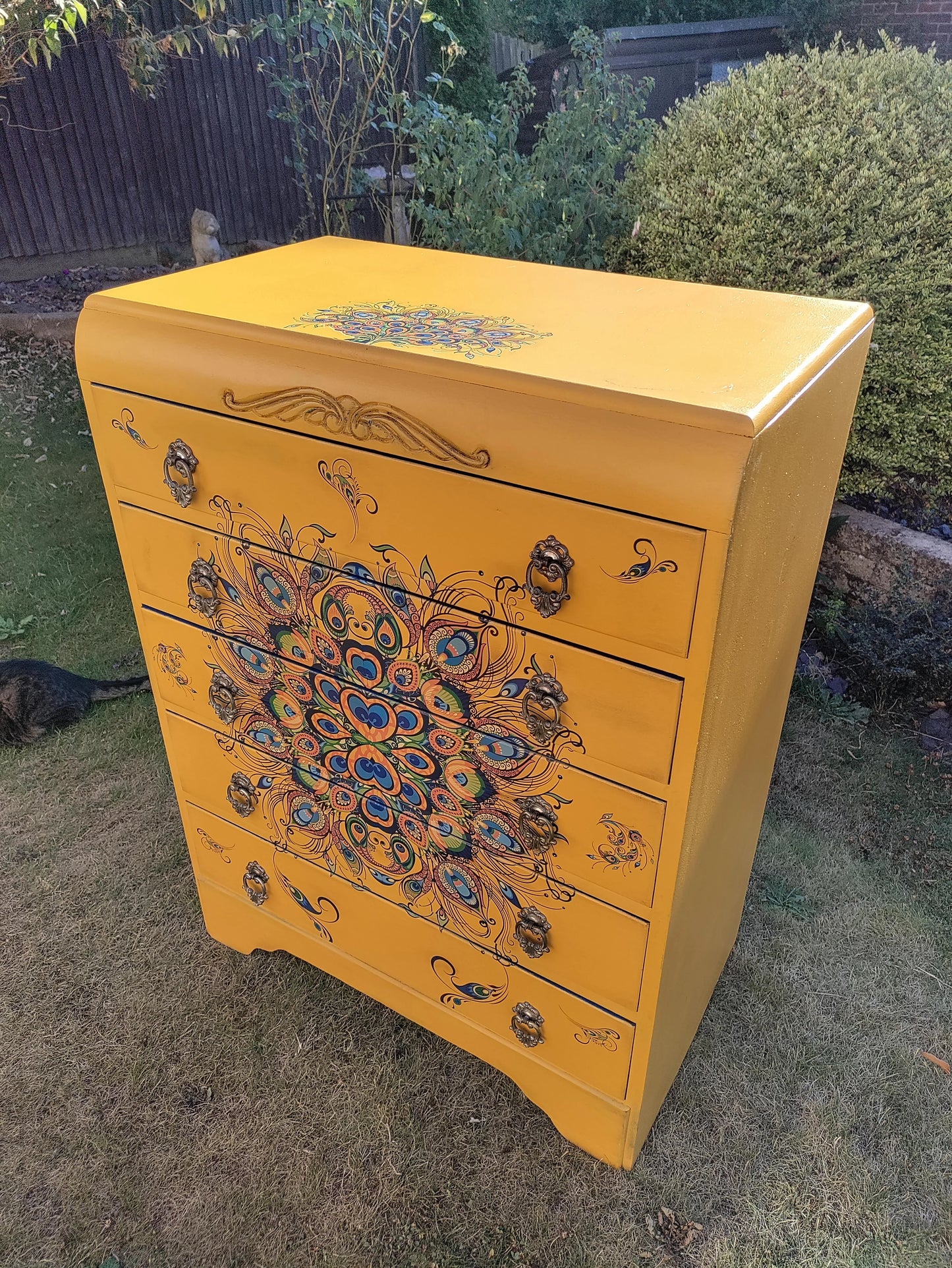 Yellow Peacock Drawers