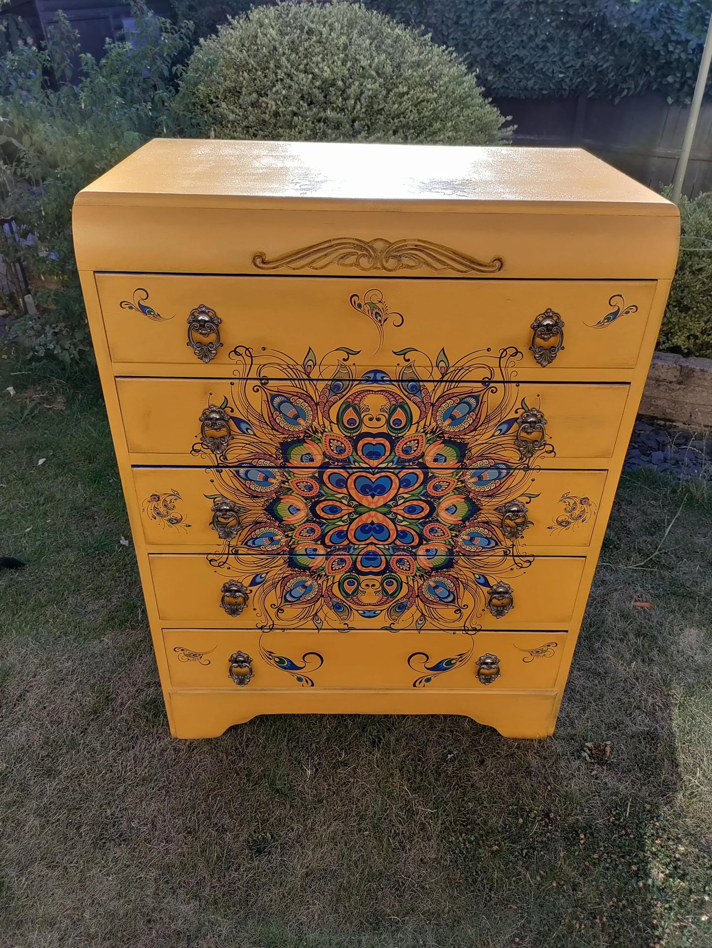 Yellow Peacock Drawers