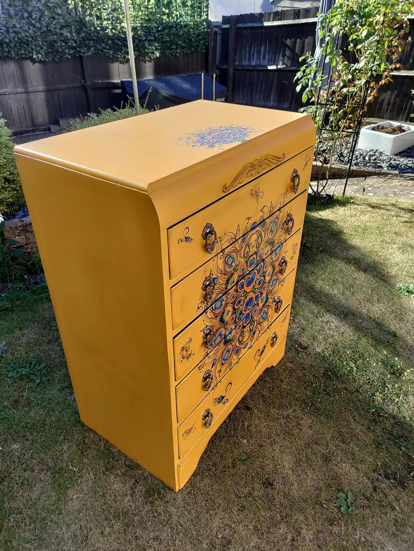 Yellow Peacock Drawers