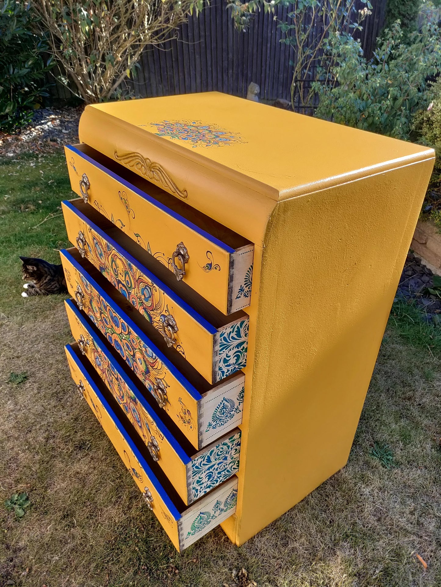 Yellow Peacock Drawers